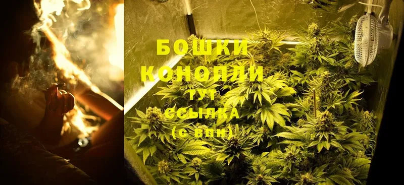 МАРИХУАНА White Widow  Бирюч 